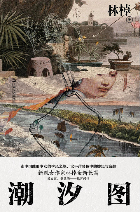 《潮汐图》作者: 林棹 出版社: 上海文艺出版社