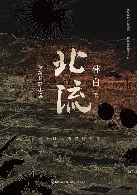 《北流》 作者: 林白 出版社: 长江文艺出版社