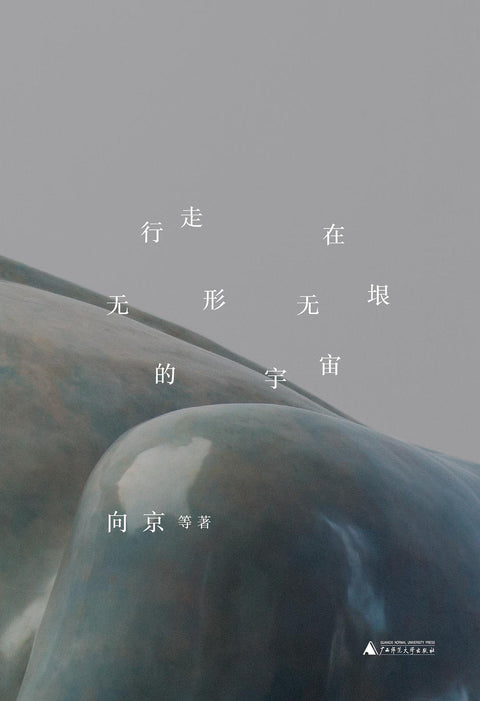 《行走在无形无垠的宇宙》作者: 向京 等 广西师范大学出版社