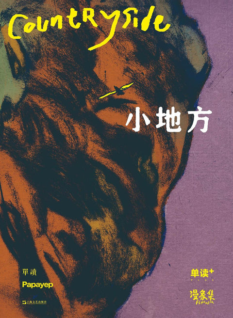 《小地方 : 单读PLUS·漫象集》作者: 杨成桦 / 张上（正义） / 吴琦 出版社: 上海文艺出版社