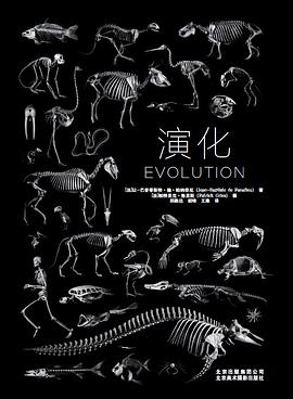 《演化》作者: [法]让-巴普蒂斯特·德·帕纳菲厄 / [法]帕特里克·格里斯
出版社: 北京美术摄影出版社