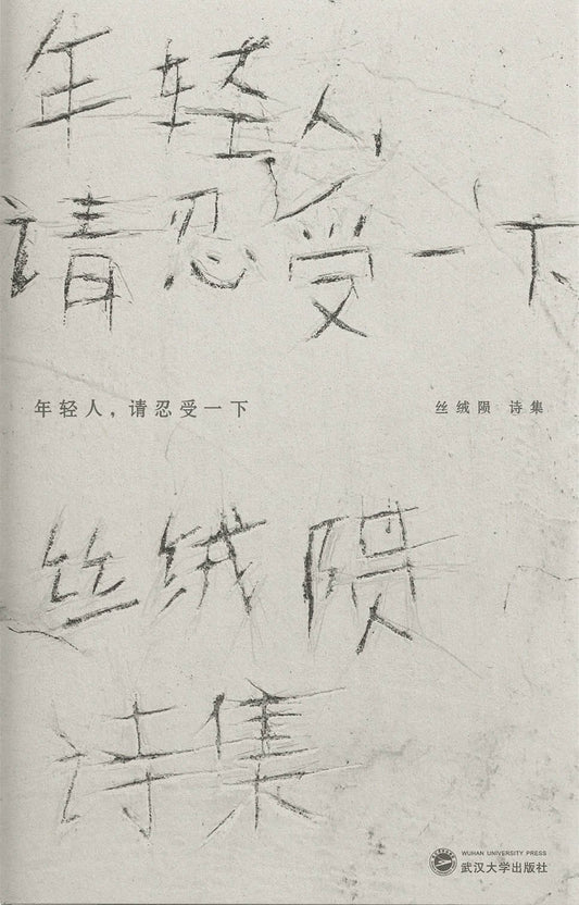 《年轻人，请忍受一下》作者: 丝绒陨 出版社: 武汉大学出版社